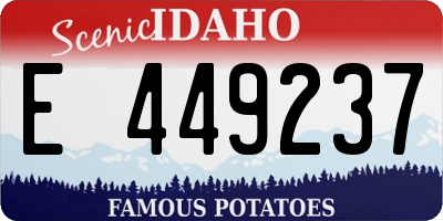 ID license plate E449237