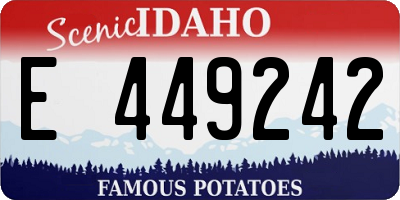 ID license plate E449242