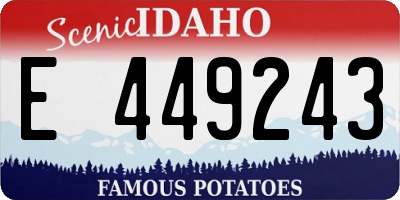 ID license plate E449243