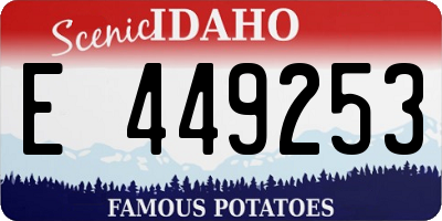 ID license plate E449253