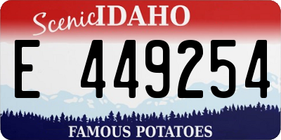 ID license plate E449254