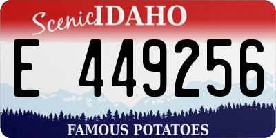 ID license plate E449256