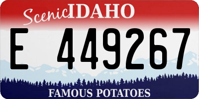 ID license plate E449267