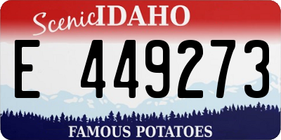 ID license plate E449273