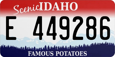 ID license plate E449286