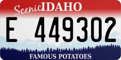 ID license plate E449302