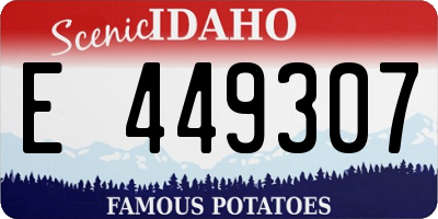 ID license plate E449307