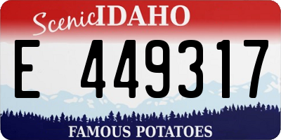ID license plate E449317