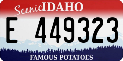 ID license plate E449323