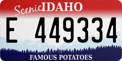 ID license plate E449334