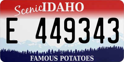 ID license plate E449343