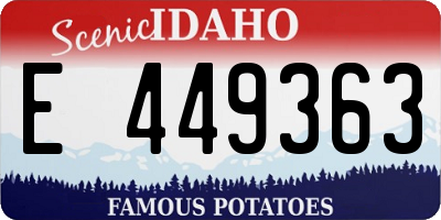 ID license plate E449363