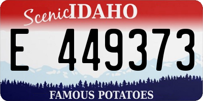 ID license plate E449373
