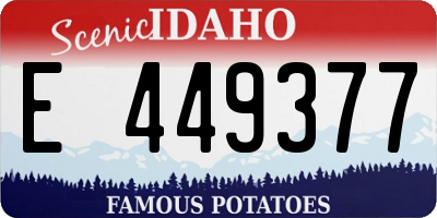 ID license plate E449377