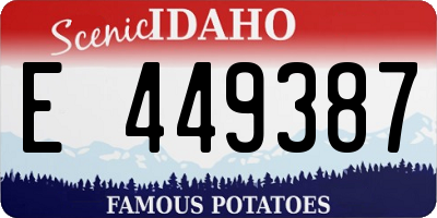 ID license plate E449387