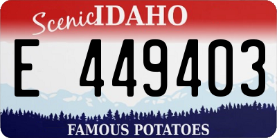 ID license plate E449403