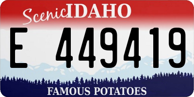 ID license plate E449419