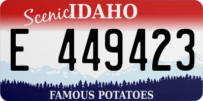 ID license plate E449423