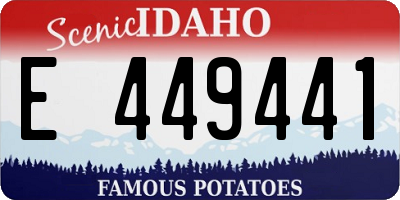 ID license plate E449441
