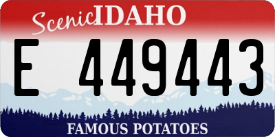 ID license plate E449443