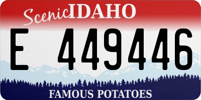 ID license plate E449446