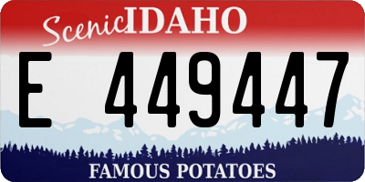 ID license plate E449447