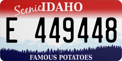 ID license plate E449448