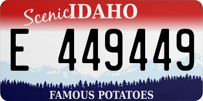 ID license plate E449449