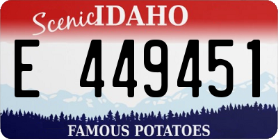 ID license plate E449451