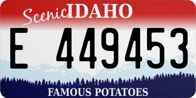 ID license plate E449453