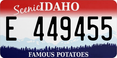 ID license plate E449455