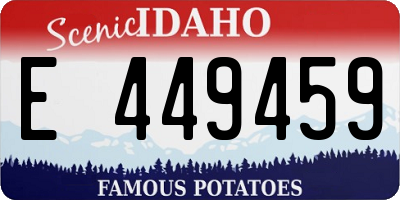 ID license plate E449459