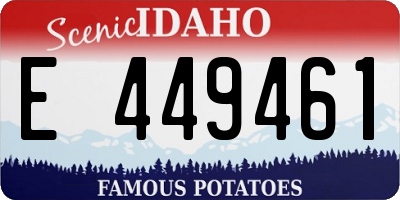 ID license plate E449461