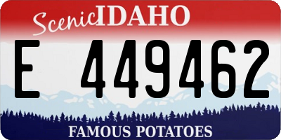 ID license plate E449462