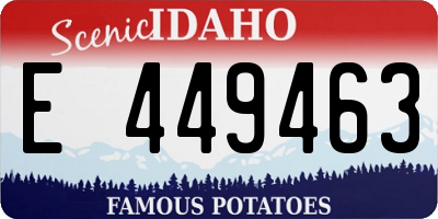 ID license plate E449463