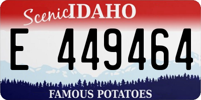 ID license plate E449464