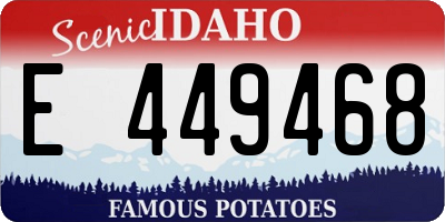 ID license plate E449468