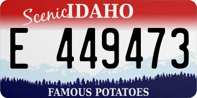 ID license plate E449473