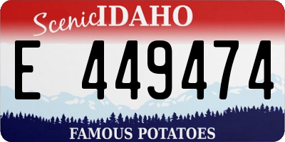 ID license plate E449474