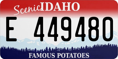 ID license plate E449480