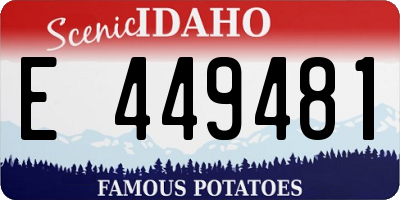 ID license plate E449481