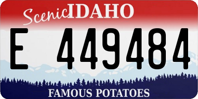 ID license plate E449484