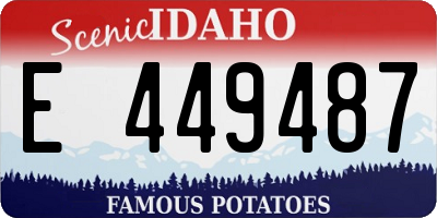ID license plate E449487