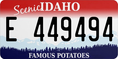 ID license plate E449494