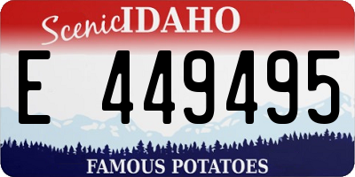 ID license plate E449495