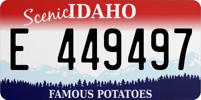 ID license plate E449497