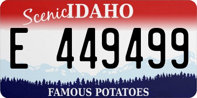 ID license plate E449499