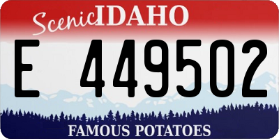ID license plate E449502