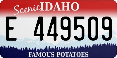 ID license plate E449509