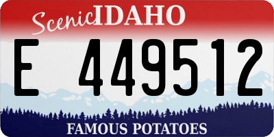 ID license plate E449512